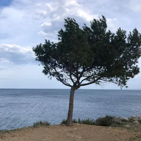 Da Maurizio *
