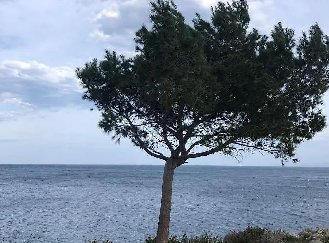 Da Maurizio *